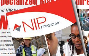NIP Programs Overview Brochure