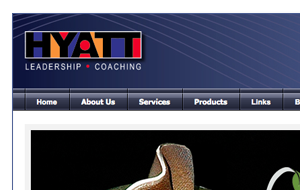 Hyatt Consulting Website